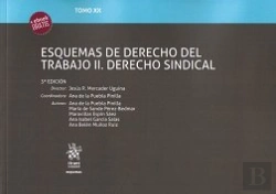 Bertrand.pt - Tomo Xx Esquemas De Derecho Del Trabajo Ii. Derecho Sindical 3ª Edición 2017