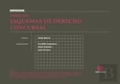 Tomo Xxi Esquemas De Derecho Concursal