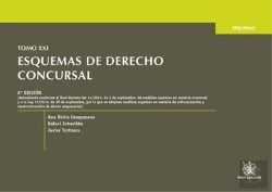 Bertrand.pt - Tomo Xxi Esquemas De Derecho Concursal