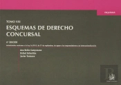 Tomo Xxi Esquemas De Derecho Concursal