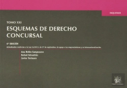 Bertrand.pt - Tomo Xxi Esquemas De Derecho Concursal