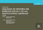 Tomo Xxviii Esquemas De Historia Del Derecho Social Y De Las Instituciones Laborales