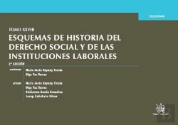 Bertrand.pt - Tomo Xxviii Esquemas De Historia Del Derecho Social Y De Las Instituciones Laborales