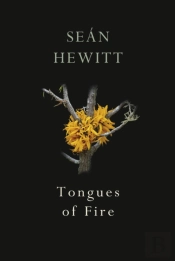 Tongues Of Fire