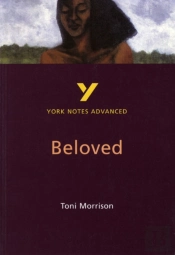 Toni Morrison 'Beloved': Everything You Need To Catch Up, Study And Prepare For 2025 Assessments And 2026 Exams