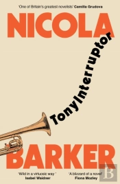 Tonyinterruptor