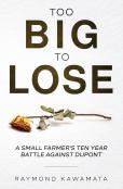 Too Big To Lose