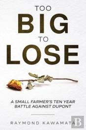 Too Big To Lose