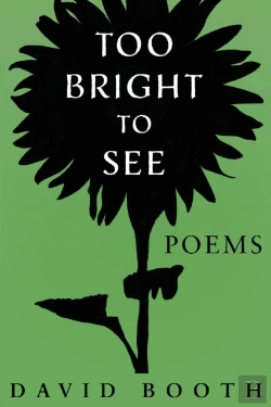 Bertrand.pt - Too Bright To See