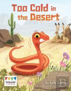 Too Cold In The Desert