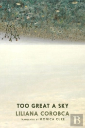 Too Great A Sky