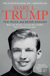 Too Much And Never Enough