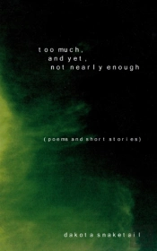 Too Much, And Yet, Not Nearly Enough