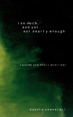 Bertrand.pt - Too Much, And Yet, Not Nearly Enough