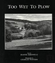 Too Wet To Plow