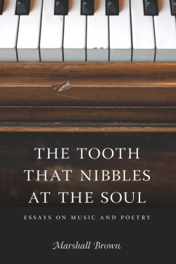 Bertrand.pt - Tooth That Nibbles At The Soul