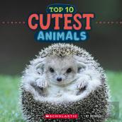 Top 10 Cutest Animals