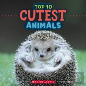 Top 10 Cutest Animals