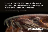 Top 100 Questions And Answers About Fleas And Pets