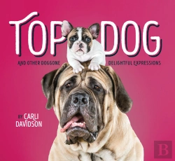 Bertrand.pt - Top Dog