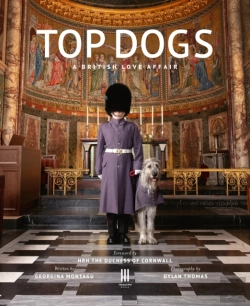 Bertrand.pt - Top Dogs