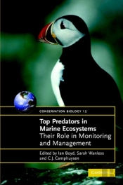 Top Predators In Marine Ecosystems