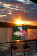 Top Tactics For Big Bream