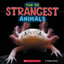 Bertrand.pt - Top Ten Strangest Animals