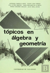 Topicos En Algebra Y Geometria