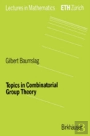 Topics In Combinatorial Group Theory