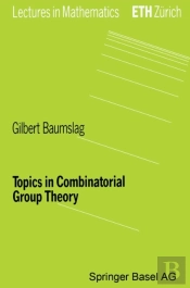 Topics In Combinatorial Group Theory
