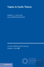 Topics In Cyclic Theory