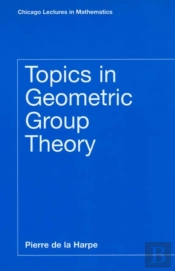 Topics In Geometric Group Theory