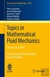 Topics In Mathematical Fluid Mechanics
