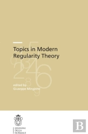 Topics In Modern Regularity Theory