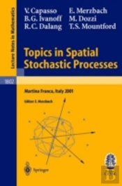 Topics In Spatial Stochastic Processes