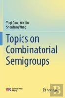 Topics On Combinatorial Semigroups