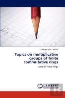 Topics On Multiplicative Groups Of Finite Commutative Rings