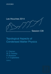Topological Aspects Of Condensed Matter Physics