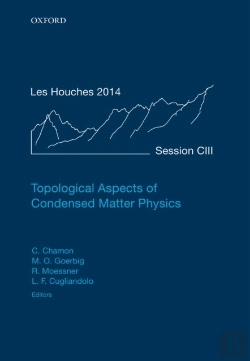 Bertrand.pt - Topological Aspects Of Condensed Matter Physics