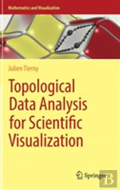Topological Data Analysis For Scientific Visualization