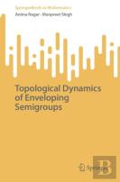 Topological Dynamics Of Enveloping Semigroups