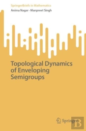 Topological Dynamics Of Enveloping Semigroups