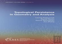 Topological Persistence In Geometry And Analysis