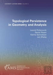Topological Persistence In Geometry And Analysis