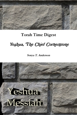 Bertrand.pt - Torah Time Digest