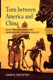 Torn Between America And China