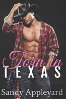 Torn In Texas