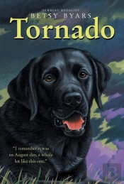 Tornado