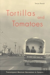 Tortillas And Tomatoes